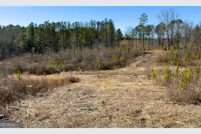 0 Steadman Road, Tallapoosa, GA 30176 - Photo 34