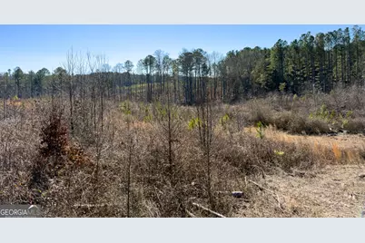 0 Steadman Road, Tallapoosa, GA 30176 - Photo 36