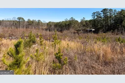 0 Steadman Road, Tallapoosa, GA 30176 - Photo 42