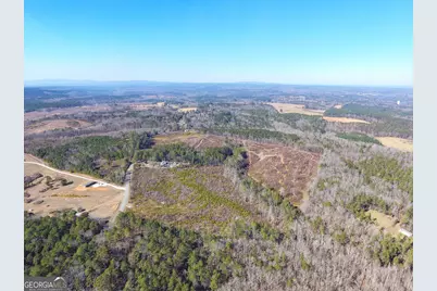 0 Steadman Road, Tallapoosa, GA 30176 - Photo 16