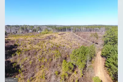 0 Steadman Road, Tallapoosa, GA 30176 - Photo 8