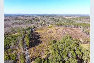 0 Steadman Road, Tallapoosa, GA 30176 - Photo 10