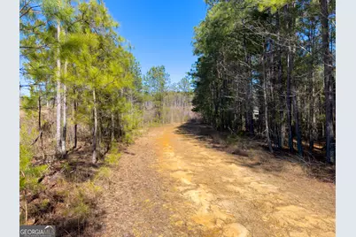 0 Steadman Road, Tallapoosa, GA 30176 - Photo 22