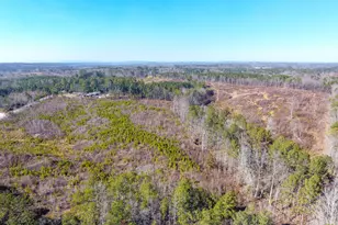 0 Steadman Rd, Tallapoosa, GA 30176 - Photo 1