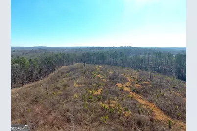 0 Steadman Road, Tallapoosa, GA 30176 - Photo 4