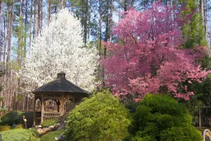 304 Bradford Way, Peachtree City, GA 30269 - Photo 70