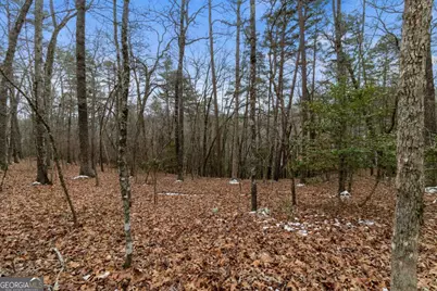 Tr4 Curtis Ridge Road #4, Blue Ridge, GA 30513 - Photo 6