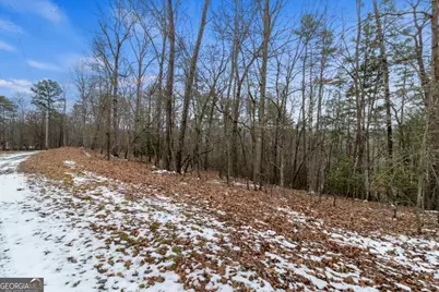 Tr4 Curtis Ridge Road #4, Blue Ridge, GA 30513 - Photo 4