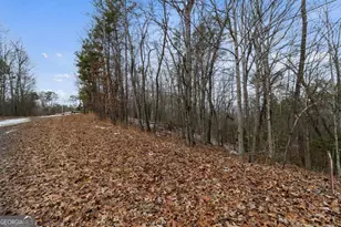 Tr4 Curtis Ridge Rd, Blue Ridge, GA 30513 - Photo 1