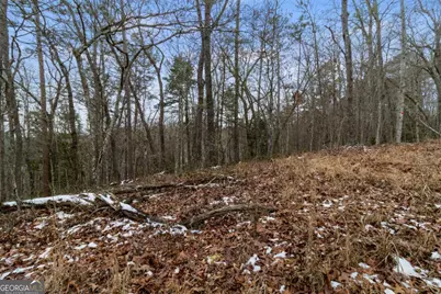 Tr4 Curtis Ridge Road #4, Blue Ridge, GA 30513 - Photo 2