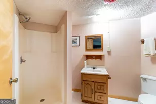 7869 Hwy 75 Alt, Helen, GA 30545 - Photo 50