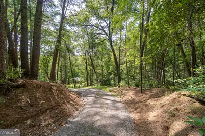 7869 Highway 75 Alt, Helen, GA 30545 - Photo 60