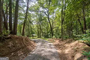 7869 Hwy 75 Alt, Helen, GA 30545 - Photo 60