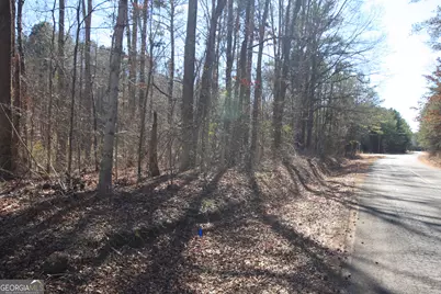 0 Berwin Rd, Rome, GA 30161 - Photo 4