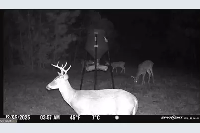 301 Beaver Dam Road, Toomsboro, GA 31090 - Photo 98