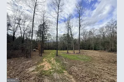 301 Beaver Dam Road, Toomsboro, GA 31090 - Photo 78