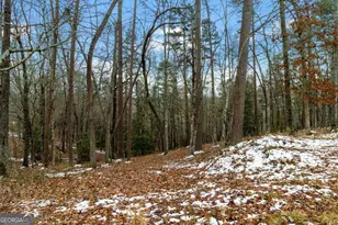 Lot 5 Curtis Ridge Rd, Blue Ridge, GA 30513 - Photo 1