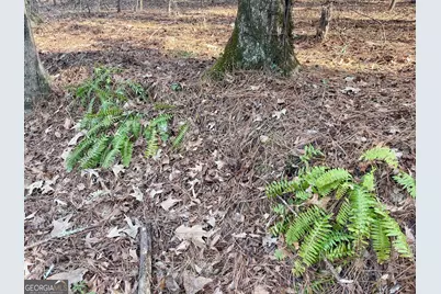 0 Padgett Road #LOT 7, Senoia, GA 30276 - Photo 4