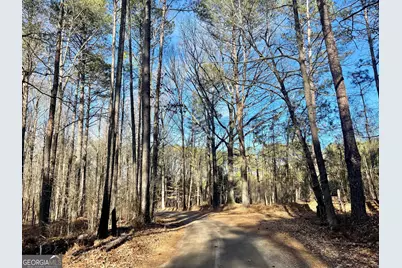 0 Padgett Road #LOT 7, Senoia, GA 30276 - Photo 1