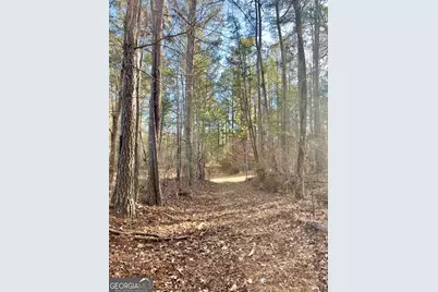 0 Padgett Road #LOT 7, Senoia, GA 30276 - Photo 2