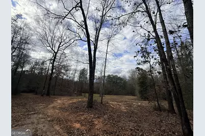301 Beaver Dam Road, Toomsboro, GA 31090 - Photo 60