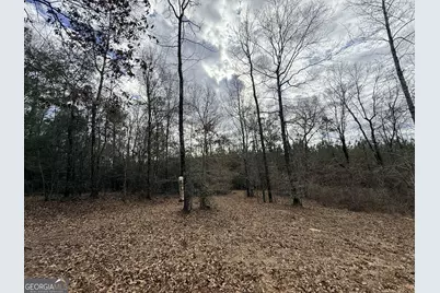 301 Beaver Dam Road, Toomsboro, GA 31090 - Photo 70