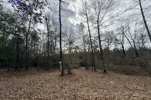 301 Beaver Dam Rd, Toomsboro, GA 31090 - Photo 70