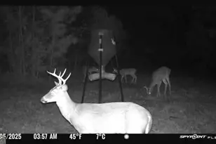 301 Beaver Dam Rd, Toomsboro, GA 31090 - Photo 92