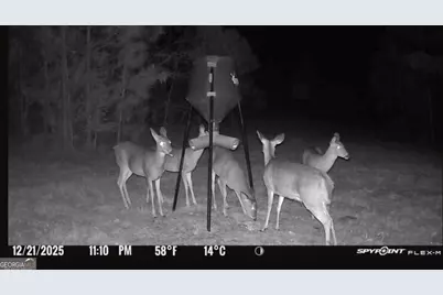 301 Beaver Dam Road, Toomsboro, GA 31090 - Photo 92