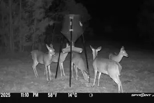 301 Beaver Dam Rd, Toomsboro, GA 31090 - Photo 92