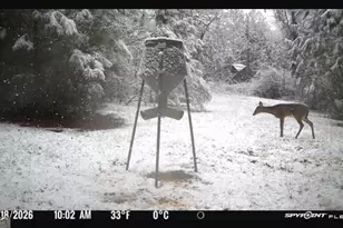 301 Beaver Dam Rd, Toomsboro, GA 31090 - Photo 96