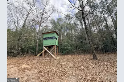 301 Beaver Dam Road, Toomsboro, GA 31090 - Photo 48