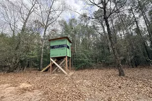 301 Beaver Dam Rd, Toomsboro, GA 31090 - Photo 48