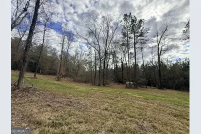 301 Beaver Dam Road, Toomsboro, GA 31090 - Photo 88