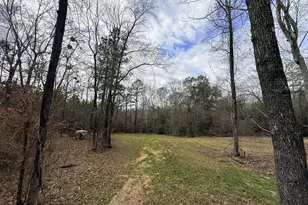 301 Beaver Dam Rd, Toomsboro, GA 31090 - Photo 76