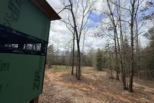 301 Beaver Dam Rd, Toomsboro, GA 31090 - Photo 68