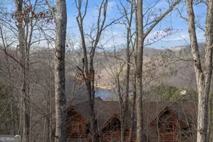 56 Robins Ridge, Blue Ridge, GA 30513 - Photo 48