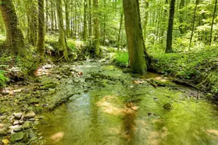 1048 Laurel Trail, Ellijay, GA 30536 - Photo 62