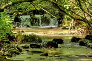 1048 Laurel Trail, Ellijay, GA 30536 - Photo 2