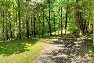 1048 Laurel Trail, Ellijay, GA 30536 - Photo 56