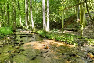 1048 Laurel Trail, Ellijay, GA 30536 - Photo 4