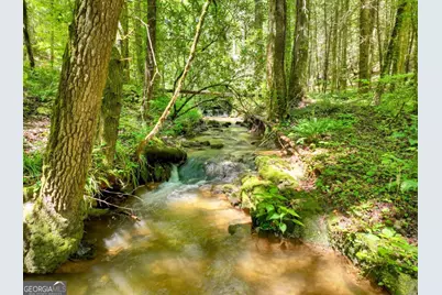 1048 Laurel Trail, Ellijay, GA 30536 - Photo 6