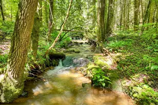 1048 Laurel Trail, Ellijay, GA 30536 - Photo 6