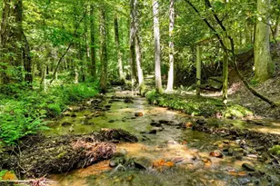 1048 Laurel Trail, Ellijay, GA 30536 - Photo 64