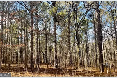 0 Padgett Road #LOT 8 FAYETTE PADGETT 14, Senoia, GA 30276 - Photo 2