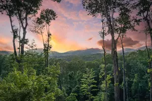 245 Mountain Retreat Dr, Morganton, GA 30560 - Photo 4