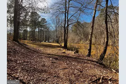 1918 Woodland Road, Thomaston, GA 30286 - Photo 66