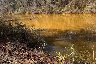 1918 Woodland Rd, Thomaston, GA 30286 - Photo 66