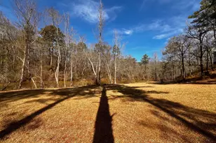1918 Woodland Rd, Thomaston, GA 30286 - Photo 68