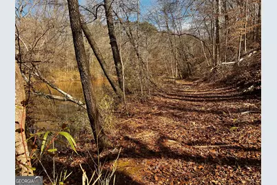 1918 Woodland Road, Thomaston, GA 30286 - Photo 68